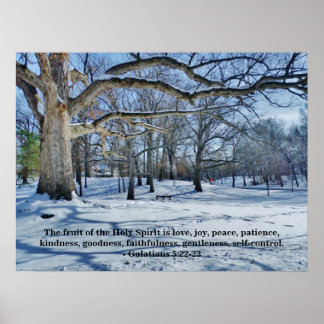 POSTER A FRUTA DO ESPÍRITO