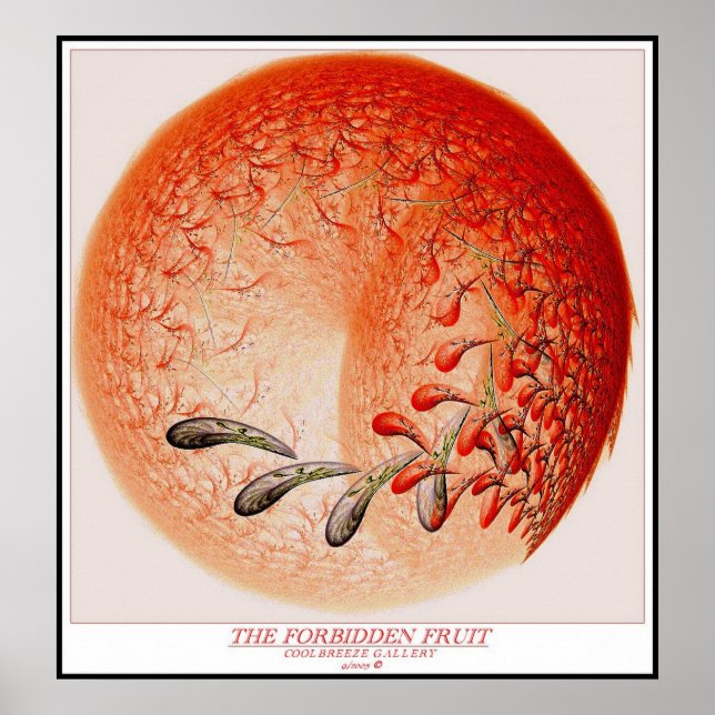 POSTER A FRUTA PROIBIDA (Frente)