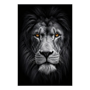 Póster A Gaze do Rei