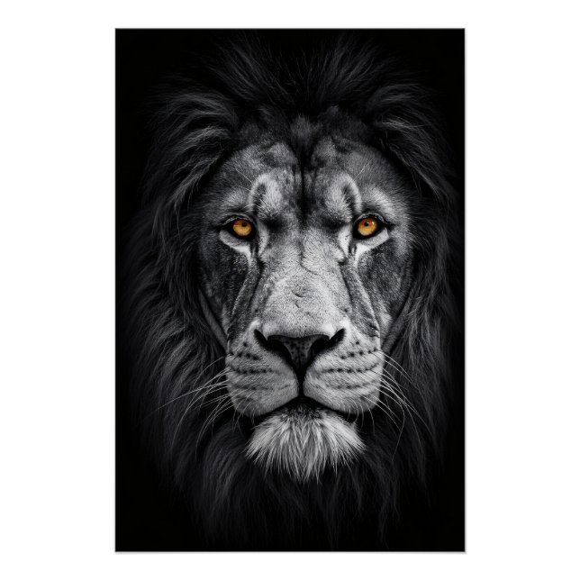 Póster A Gaze do Rei (Frente)