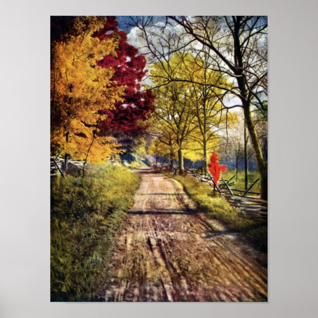 Poster A Glória das Árvores do Outono (Frente)