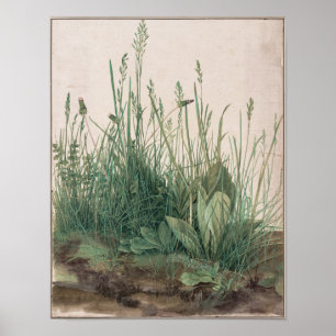 Póster A Grande Peça de Turfe de Albrecht Durer