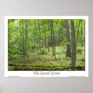 Poster A Grove Sagrada