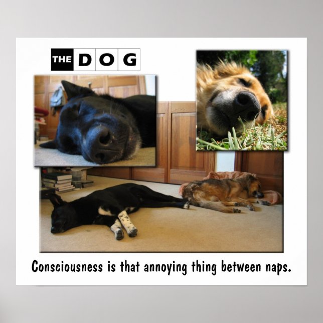 Póster A guardar. (Frente)