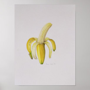 Poster A Half-peeled Banana 1997