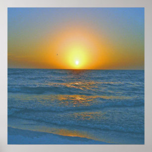 Póster A ilha chamada de "lata cerveja "