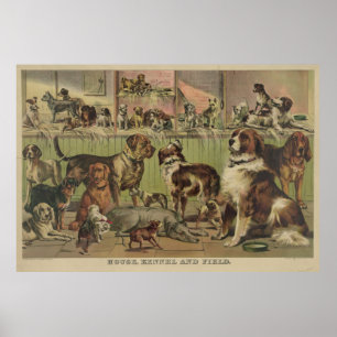 Poster A ilustração do vintage do vário cão produz (1
