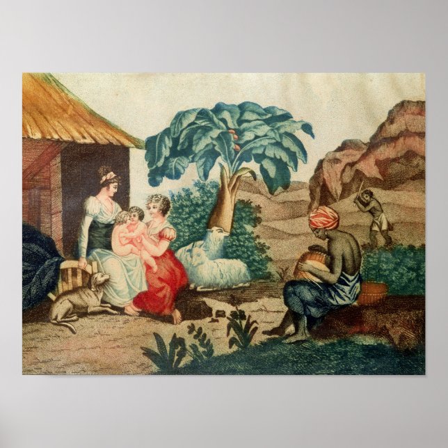 Póster A Infância de Paul e Virginie (Frente)