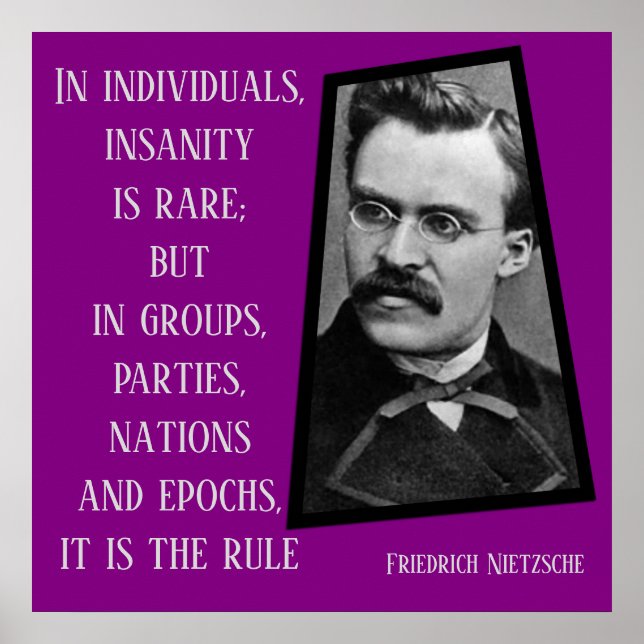 Poster A insanidade é a regra Nietzche (Frente)