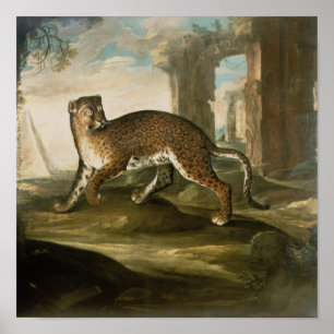 Póster A Jaguar