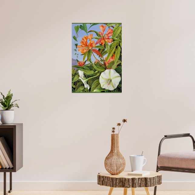 Poster A Javan Rhododendrum e Ipomoea (Sala de Estar 3)