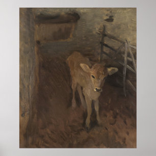 Póster A Jersey Calf