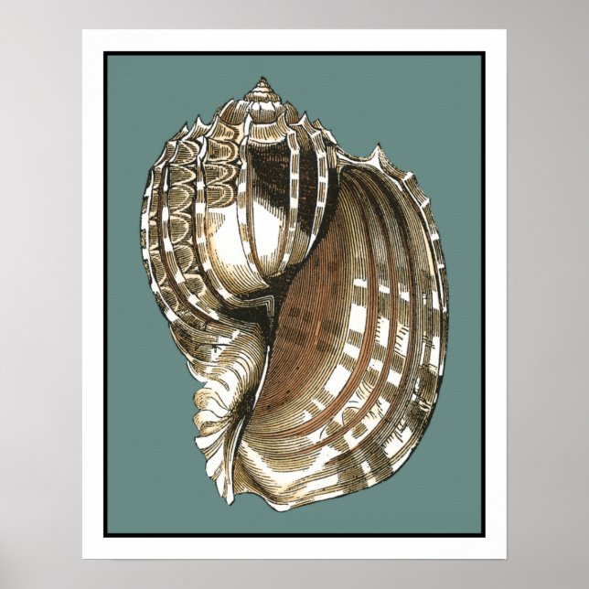 Poster A Joia do Oceano (Frente)