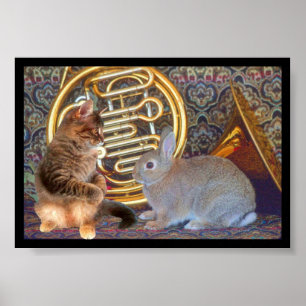 Póster A Kitten, a Bunny and a French Horn