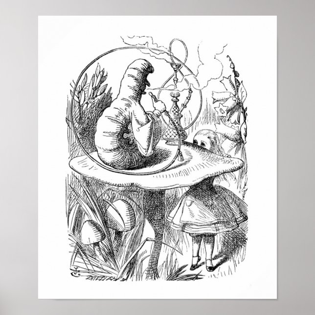 Póster A lagarta (Frente)