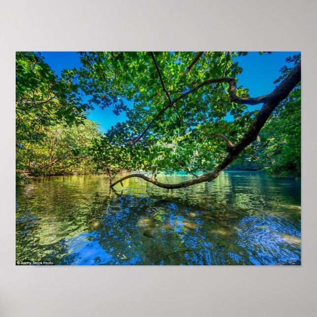 Poster A Lagoa Azul da Jamaica, Port Antonio (Frente)