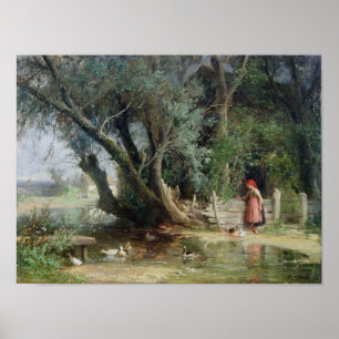 Póster A lagoa do pato