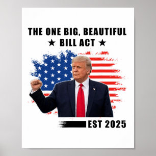 Poster A Lei da Grande Conta Bonita Trump 2025