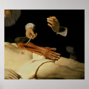 Póster A lição da anatomia do Dr. Nicolaes Tulp, 1632