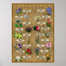 A Língua das Flores