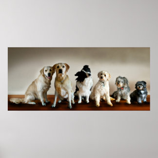 Póster A Linha Para Cima