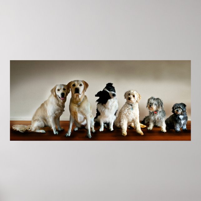 Póster A Linha Para Cima (Frente)