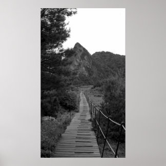 Póster A longa jornada