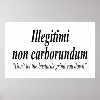 Poster A LUTA CONTRA Illegitimi non carborundum é um mock