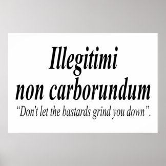 Poster A LUTA CONTRA Illegitimi non carborundum é um mock