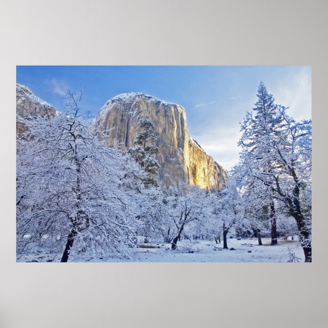 Póster A luz do sol atinge El Capitan através da neve (Frente)