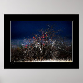 Poster A Maçã Selvagem