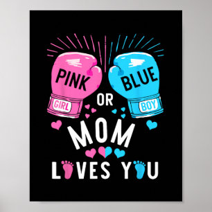Poster A Mãe Rosa Ou Azul Te Ama A Vingança De Gênero Pa
