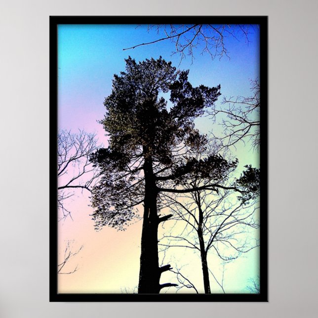 Póster A maior árvore (Frente)