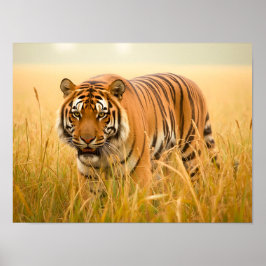 Poster A Majestic Bengal Tiger