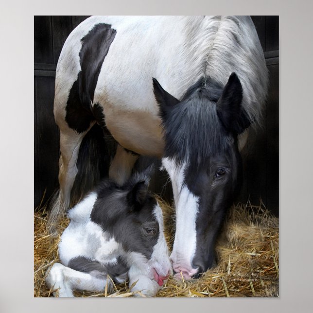 Póster A maneira de arte da mãe (Frente)