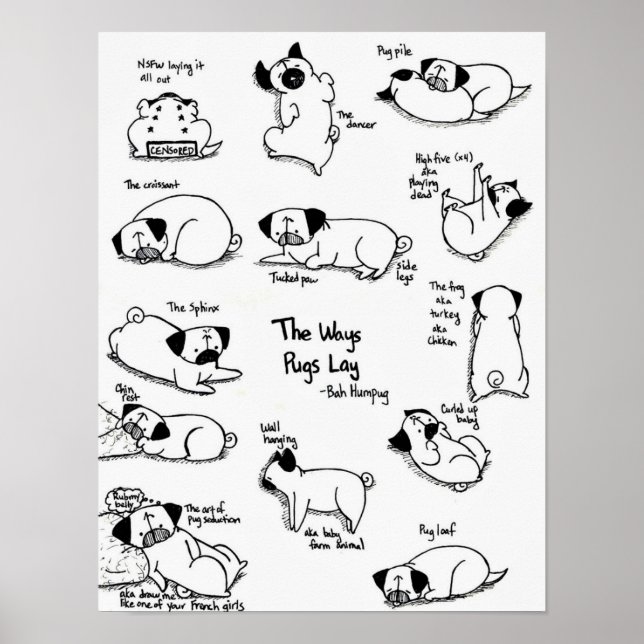 Póster A Maneira de Pugs Lay (Frente)