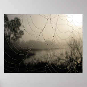Póster A manhã da aranha