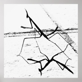 Poster A Mantis Pensadora