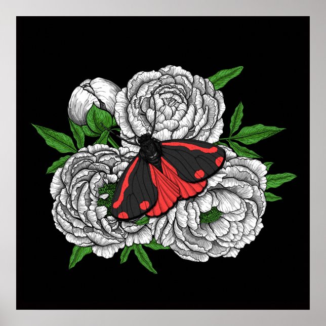 Poster A mariposa cinabar (Frente)