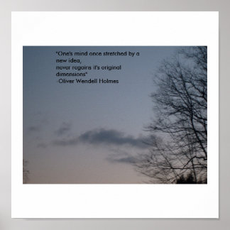 Póster A mente de um