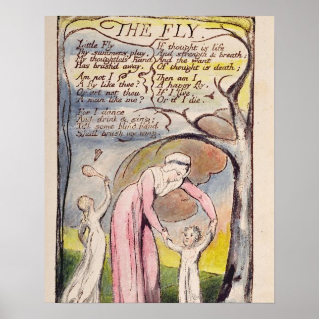 Poster "A mosca", placa 37 de "Canções de Inocência e o (Frente)