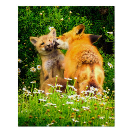 Póster A Mother's Kiss Wildlife Nature Art Print