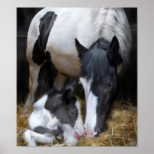 Póster A Mother's Way Art