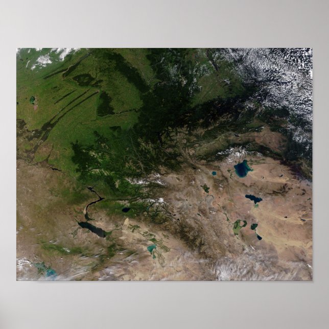 Póster A mudança de vegetação (Frente)