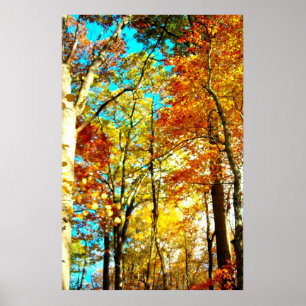 Póster A música é arcos-íris da arte