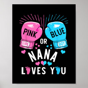 Poster A Nana Rosa Ou Azul Ama-Te A Fazer Boxas De Gênero