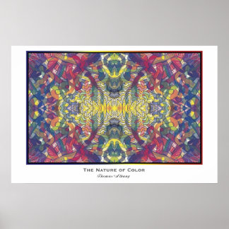 Póster A Natureza da Cor