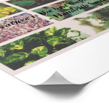 "A natureza é o melhor capitalista que conheço."