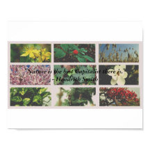 "A natureza é o melhor capitalista que conheço."