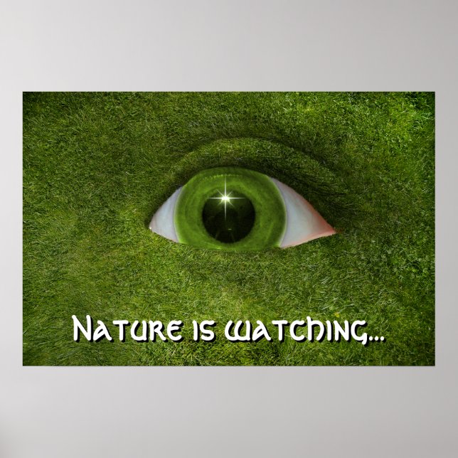 Póster A natureza está observando... (Frente)